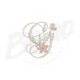 BG116-3 Alfabeto Flor