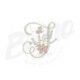 BG119-2 Alfabeto Flor