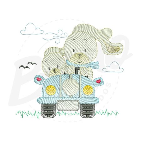 MP9M025 - Coelho no carro