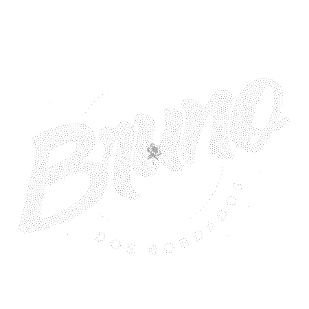 MP27M098 - Flor MINI